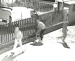 Record di furti, da Marchetti &egrave; il 26&deg;