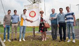 Il campetto è sintetico, vere le piante da ornamento