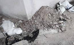 Ferroni: &laquo;Attentato col sale all'ippocastano&raquo;
