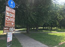 Vandali in azione, la maxi mostra nel mirino