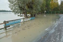 Il Grande Fiume continua a crescere. Acqua nel Parco Golena del Po