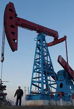 Trivelle 'spostate', ambientalisti: 'Ma i rischi sono identici'