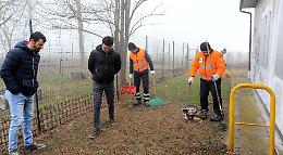 Nutrie, ripulito il giardino: poi trappole nel parco delle elementari
