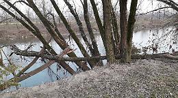 Serio, a quattro mesi dalla piena i tronchi spezzati sono ancora lì