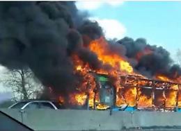 Sy resta in carcere, il gip: 'Ha finto di essere pazzo'