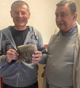 Monticelli, dal Po affiorano reperti di un mammuth