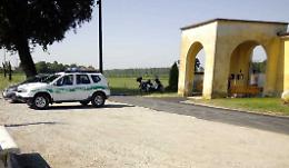 Cimitero infestato dalle vespe