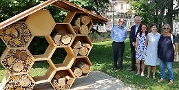 Casa di riposo, in via Zurla un rifugio per api solitarie