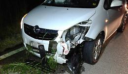 Centra cinghiale, auto ko