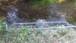 Getta i segnali di pericolo e le transenne nel fosso, ciclista 50enne scoperto e denunciato