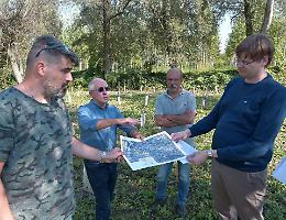 Citt&agrave; circondata dal verde: "Ma ora altre piante"