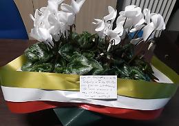 Ciclamini bianchi per onorare la memoria di Matteo e Pierluigi