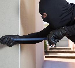 Spaventano il cane col bastone, poi ripuliscono la casa