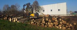 Azienda si amplia, addio al bosco in via Sesto