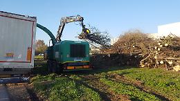 Alberi tagliati in via Sesto, la maggioranza si divide