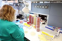 Coronavirus, Vivi Castelvetro propone misure per le famiglie