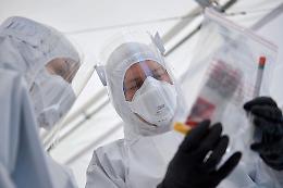 Coronavirus: a Bergamo si sperimenta l'estrazione di anticorpi