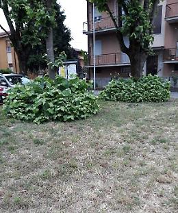 Sfalcio, "Così non va bene". Stop ai pagamenti