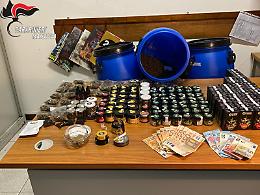 Fermato in auto con mezzo chilo di canapa