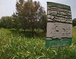 Via Viviani, dimenticato e il Parco della vita soffoca sotto l'erba