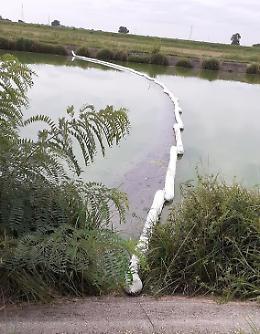 Canale Navigabile inquinato, operazione «assorbi-veleni»
