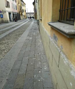 Pizzighettone, i piccioni proliferano e sporcano