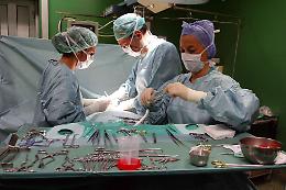 A Roma un convegno sul lavoro delle professioni sanitarie dietro i trapianti