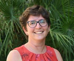 Castelli (CDCNPA) "Raccolta e riciclo batterie una leva industriale strategica"