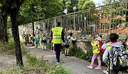 Piedibus, partita la sperimentazione a servizio della scuola Bissolati