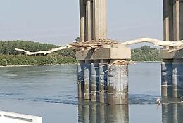 Allarme tronchi sotto i piloni del ponte