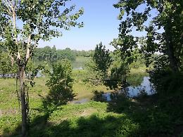 'Natura in città', sabato 4 ottobre visite guidate al Parco al Po