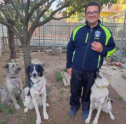 Da randagi a campioni d&rsquo;Italia: la storia di Tom e Art&ugrave;