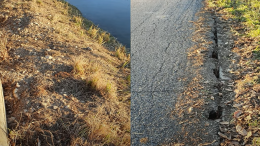 "Paradiso delle nutrie, la ciclabile dei Mosi prossima al crollo"