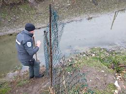 Sversamento di nafta nel canale