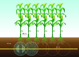 Agricoltura: nasce Underdrip, sub-irrigazione di precisione