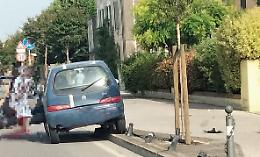 Piccione in auto, perde il controllo del mezzo e abbatte 4 paletti