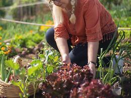 Confagri, al via Coltiviamo agricoltura sociale