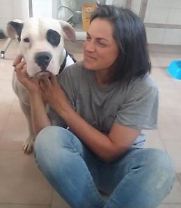 Canile, 5 cuccioli da adottare