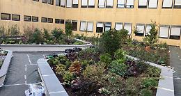 Il Day Hospital in partenza, all&rsquo;Oglio Po anche l&rsquo;Hospice