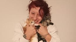 Casalbuttano, gli artisti amano i gatti