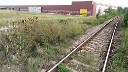 Ferrovie, da Marcegaglia: «Realizzare il raccordo»