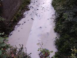  Acqua biancastra nel fosso, scatta l'allarme lungo viale Santa Maria