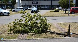 Violento temporale nella notte, alberi spezzati e disagi