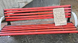 Affronto alla panchina rossa: &laquo;Donne ignoranti&raquo;