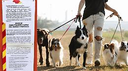 I bisogni del cane sul muro di casa: «Ora denuncio i padroni»