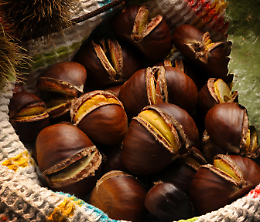 Sagra "Saùur de 'nà volta"