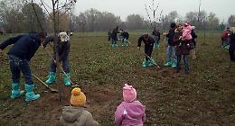 A Crema una ciclabile per via Viviani, e il Parco vita cambia volto