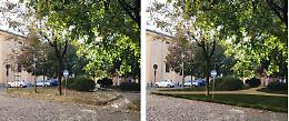 «È un'altra priorità», via libera al restyling di piazza Giovanni XXIII