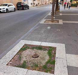 «Il verde dimenticato, progettazione assente»