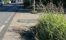 Verde pubblico: task force anti degrado